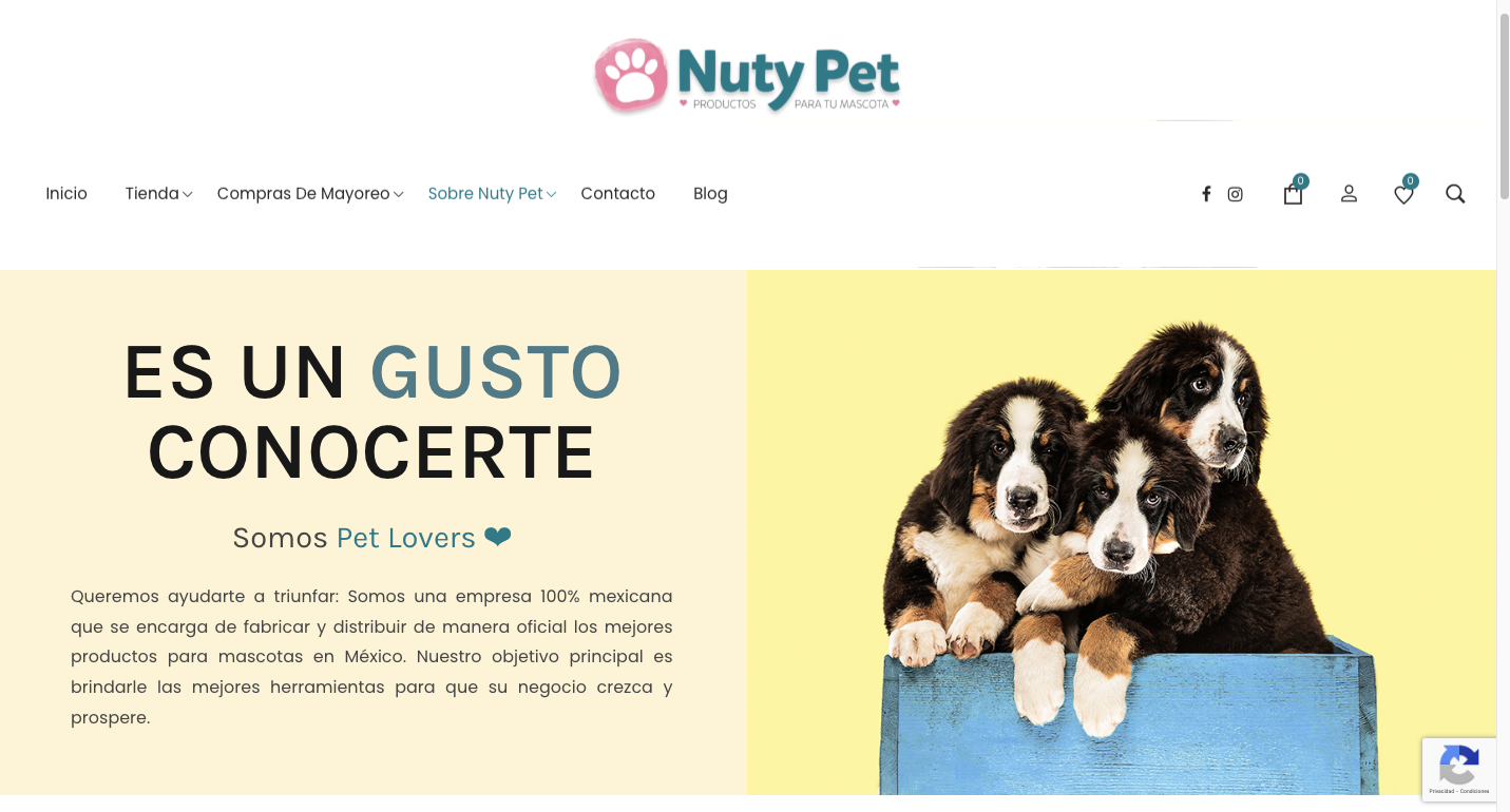 diseño web guadalajara nuty pet